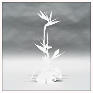 Papegojblomma i plåt VIT, H44cm