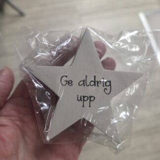 Ge aldrig upp...Liten stående sandfärgad stjärna i trä, 8cm