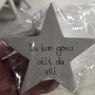 Du kan göra allt du vill...Liten stående stjärna i trä, 8cm