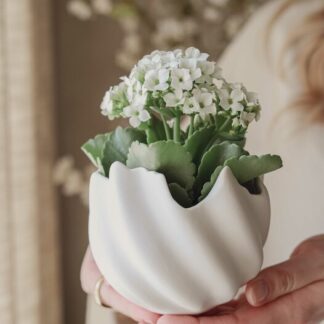 Skal STORT från Majas Cottage